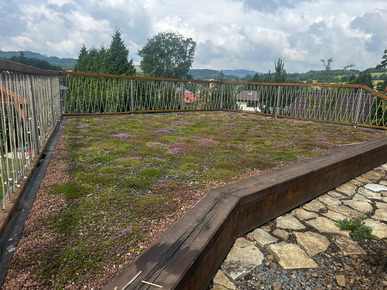 Extenzivní zelená střecha po realizaci